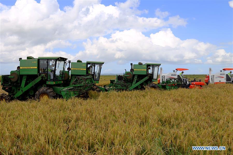 MOZAMBIQUE-GAZA-CHINA-AGRICULTURAL PROJECT