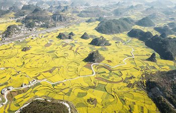 Aerial photos of rape flowers in China's Guizhou