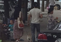 組圖：天天秀恩愛！范冰冰李晨甜蜜遛狗引圍觀