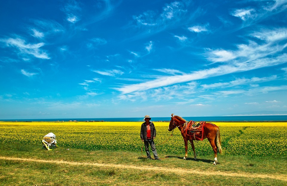 青海推行草原生態(tài)保護(hù)補獎?wù)? /></a></p>
<p class=