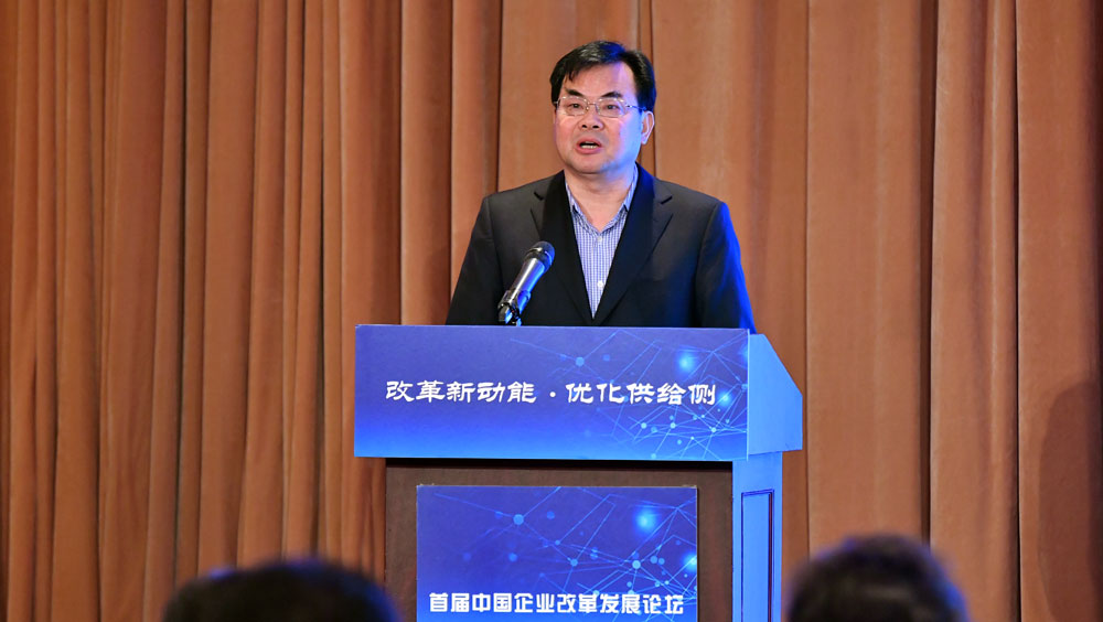 國家發(fā)改委副秘書長(zhǎng)范恒山演講