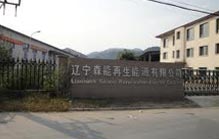 遼寧森能董事李鵬涉嫌內(nèi)幕交易