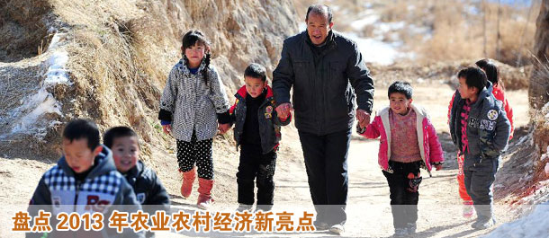 盤(pán)點(diǎn)2013年農(nóng)業(yè)農(nóng)村經(jīng)濟(jì)新亮點(diǎn)