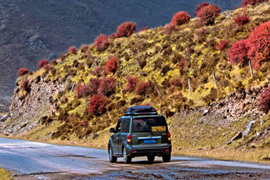 天微涼葉漸黃，最美風(fēng)景是家鄉(xiāng)