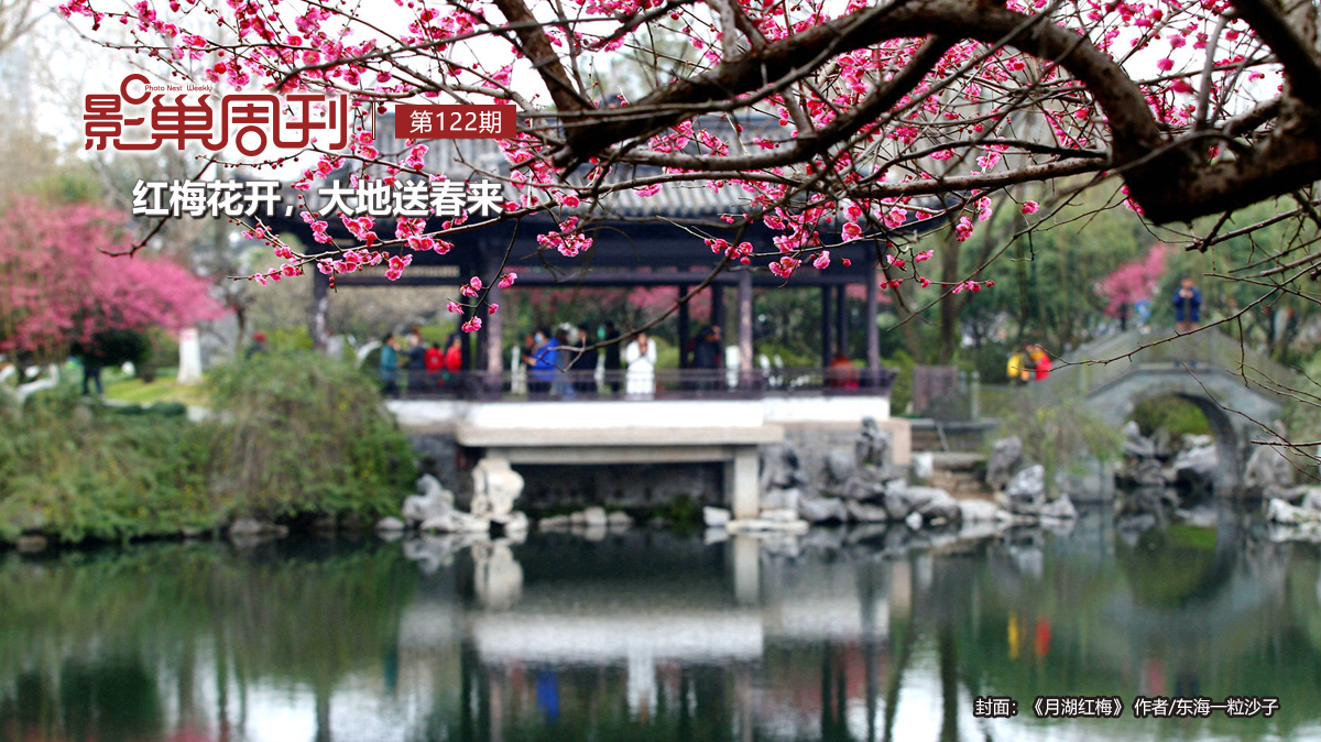 【影巢周刊】紅梅花開，大地送春來