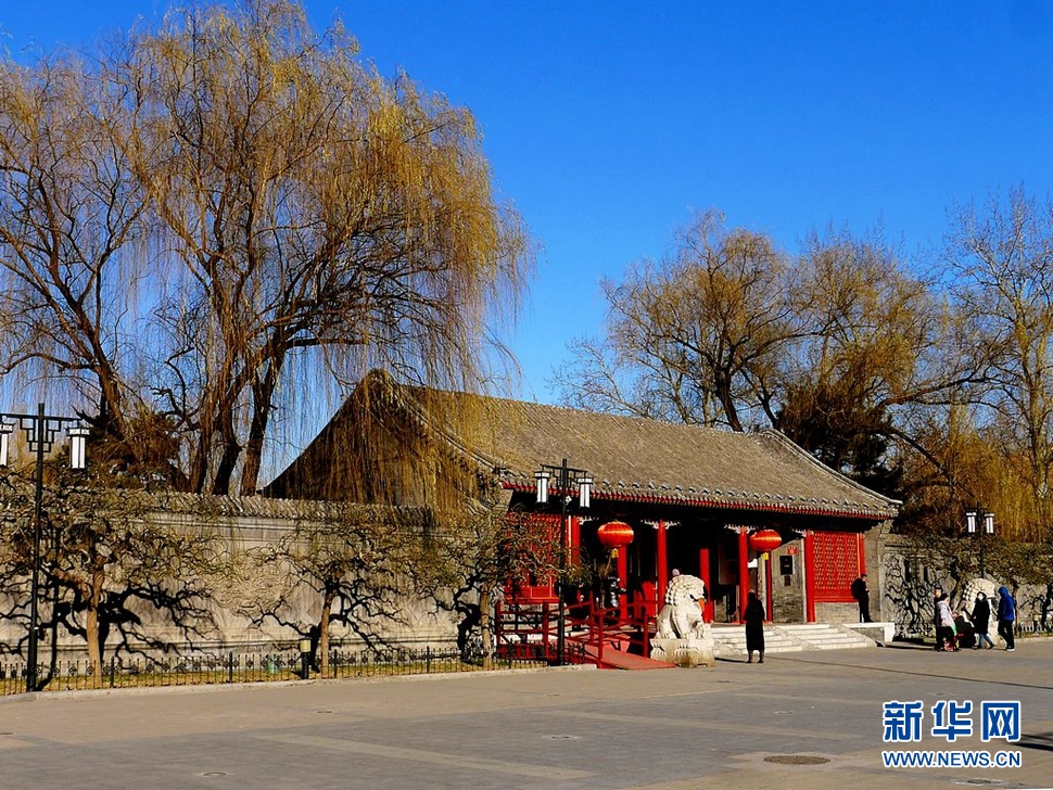 冬至，漫步大觀園