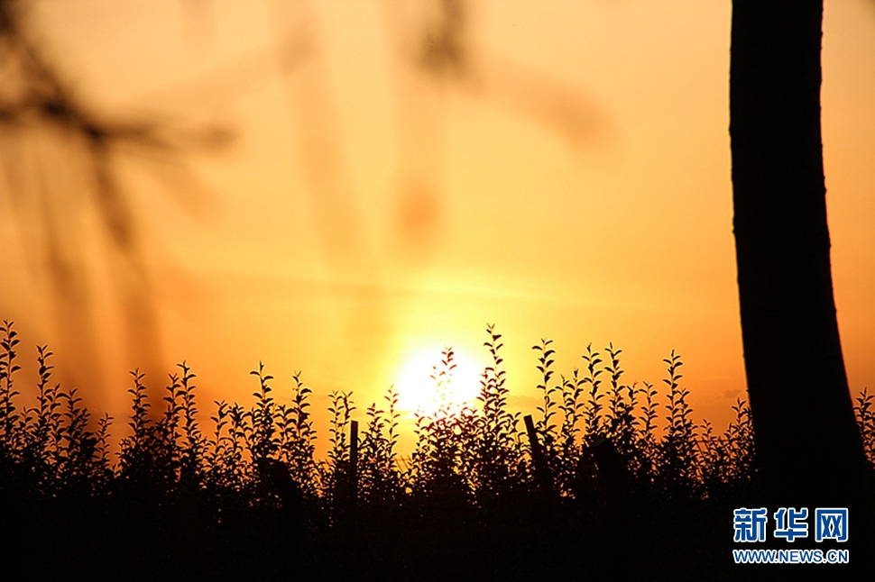 日落西山頭，人約黃昏后