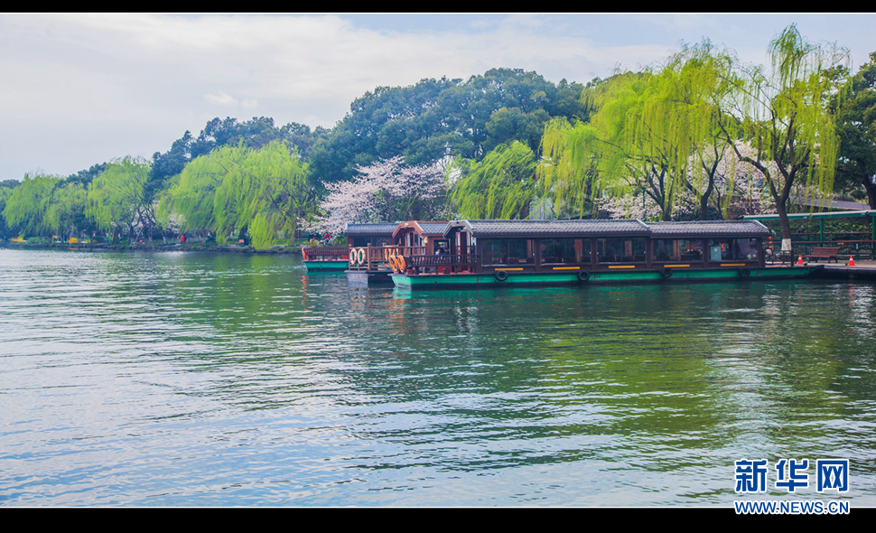 聽風(fēng)西湖柳，聞香龍井茶