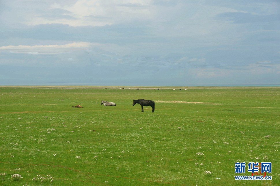 高原放歌之那山、那寺、那朵云