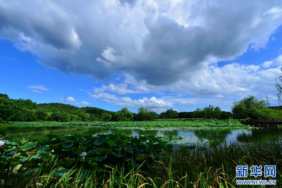 秋高氣爽，行攝八掛田