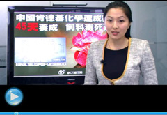 權(quán)威聲音：&ldquo;快時代&rdquo;究竟還有什么可以速成？