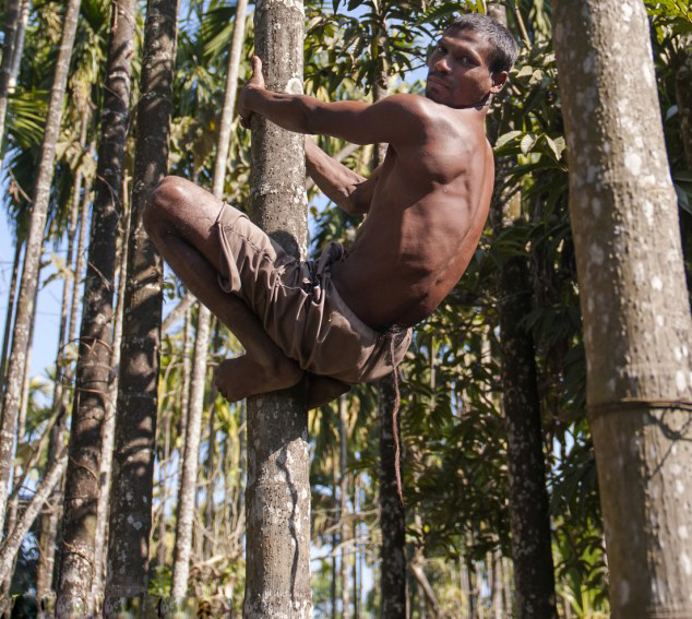 印男子長(zhǎng)37厘米尾巴被奉為&ldquo;猴神&rdquo;【圖】