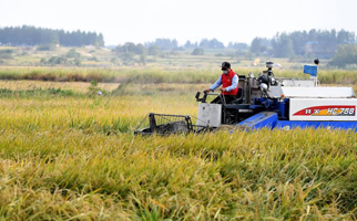 40年，小崗人的18個&ldquo;第一次&rdquo;