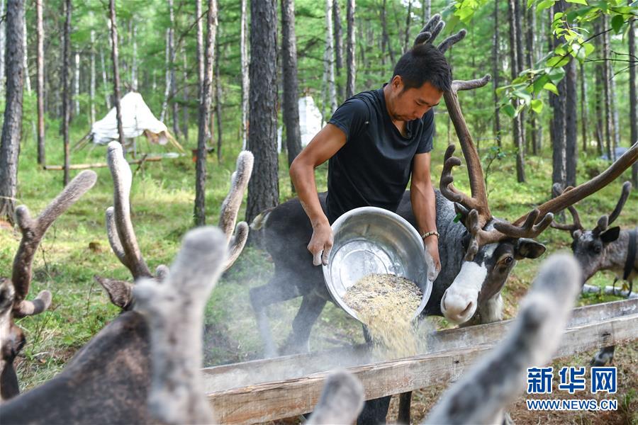 【聚焦脫貧攻堅(jiān)】這組數(shù)字，來(lái)之不易