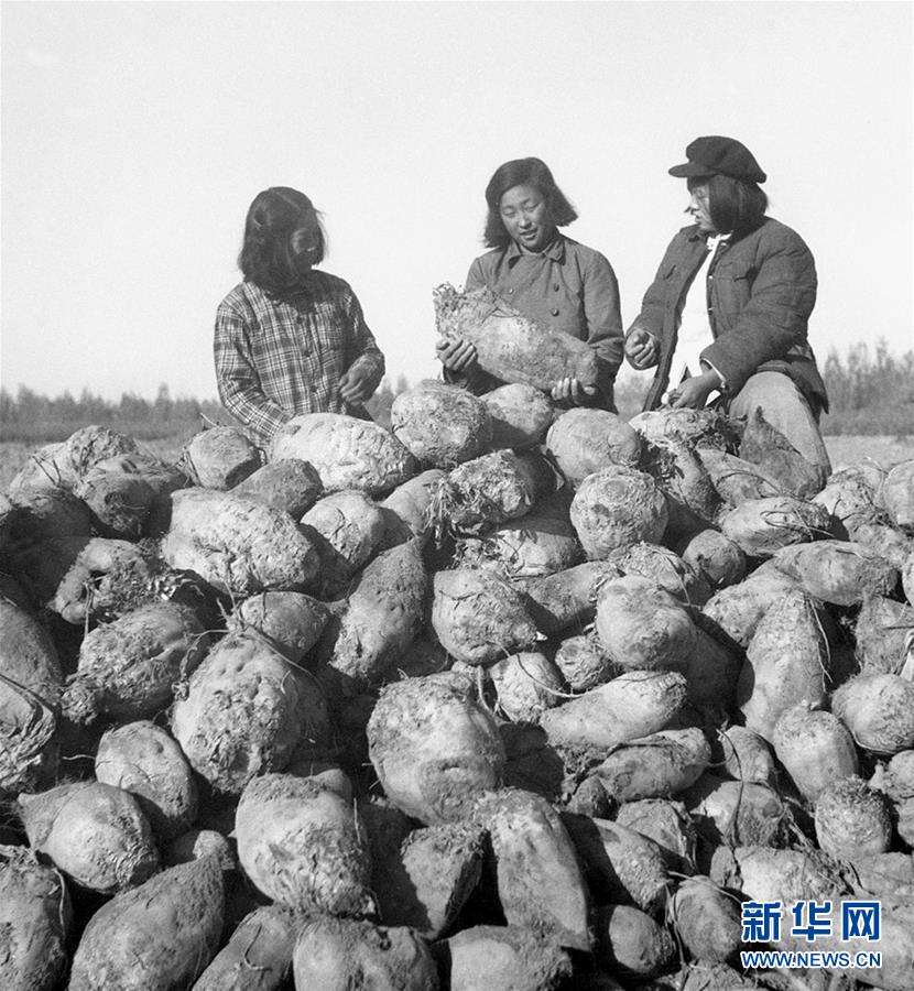 （圖文互動）（2）為了&ldquo;中國號&rdquo;巨輪揚(yáng)帆遠(yuǎn)航&mdash;&mdash;中國共產(chǎn)黨領(lǐng)導(dǎo)下的人民軍隊(duì)忠于祖國、服務(wù)人民啟示錄