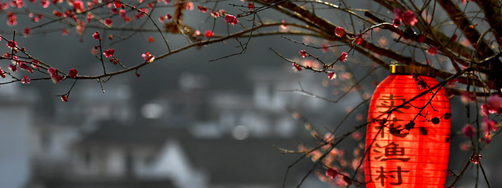 春來花開，綻放正當(dāng)時