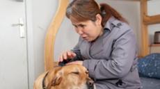 &ldquo;有你在身旁，真好&rdquo;