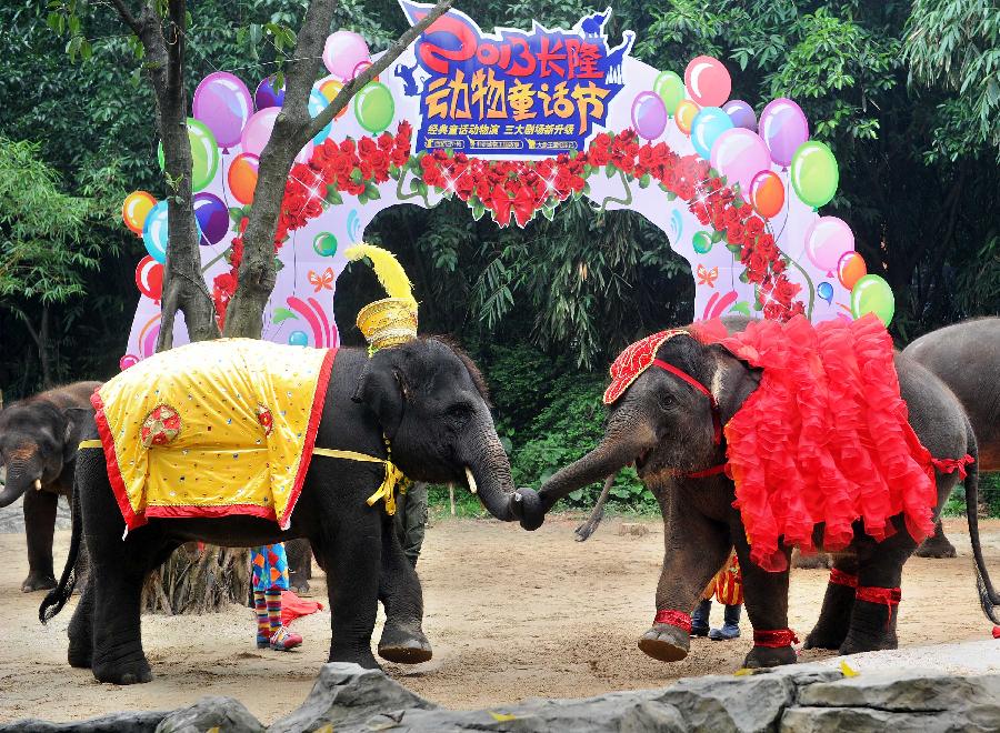 一周趣圖：&ldquo;冰凍&rdquo;演唱會 大象婚禮