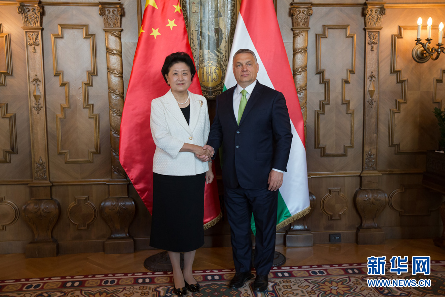  6月21日，國務(wù)院副總理劉延?xùn)|（左）在匈牙利布達佩斯國會大廈會見匈牙利總理歐爾班。 新華社發(fā)（弗爾季&middot;奧蒂洛攝）