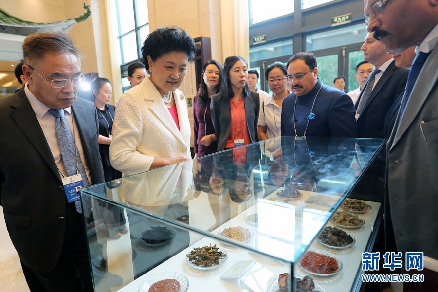 7月6日，金磚國家衛(wèi)生部長會暨傳統(tǒng)醫(yī)藥高級別會議在天津開幕。這是國務院副總理劉延東與外賓一起參觀傳統(tǒng)醫(yī)藥文化展。 新華社記者 張玉薇 攝