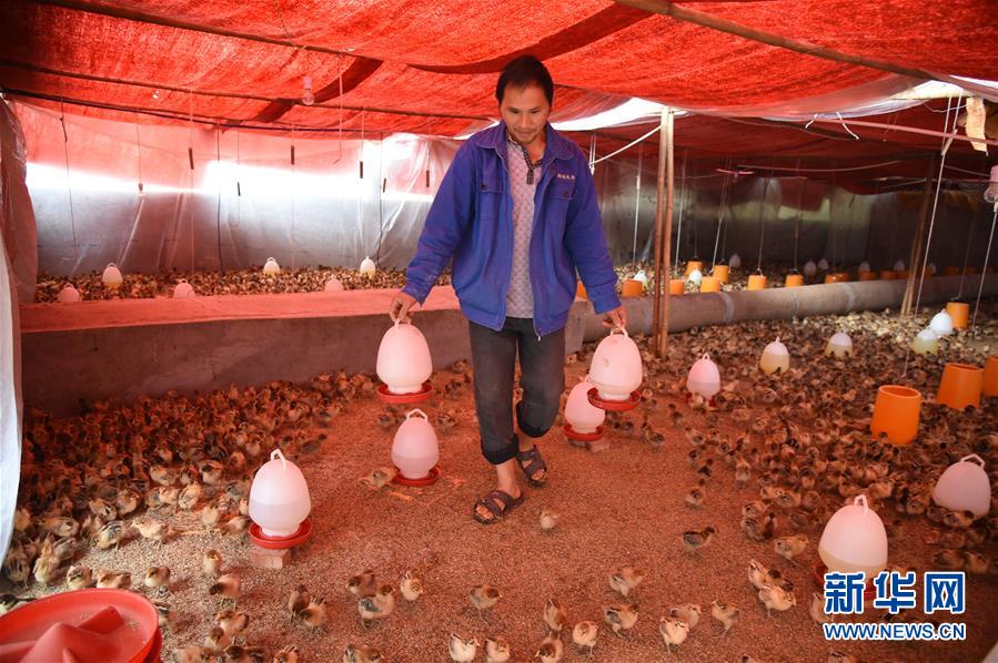 （新華全媒頭條&middot;圖文互動）（8）赤水：別了，貧困！