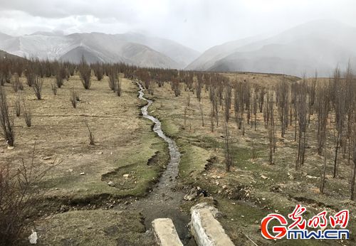 【新時代&middot;幸福美麗新邊疆】昔日紅色精神流入血脈 今朝邊疆處處開遍幸福花