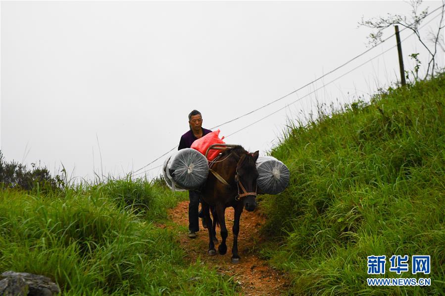 （新華全媒頭條&middot;圖文互動）（4）一個人，一座山&mdash;&mdash;劉真茂的生命守望