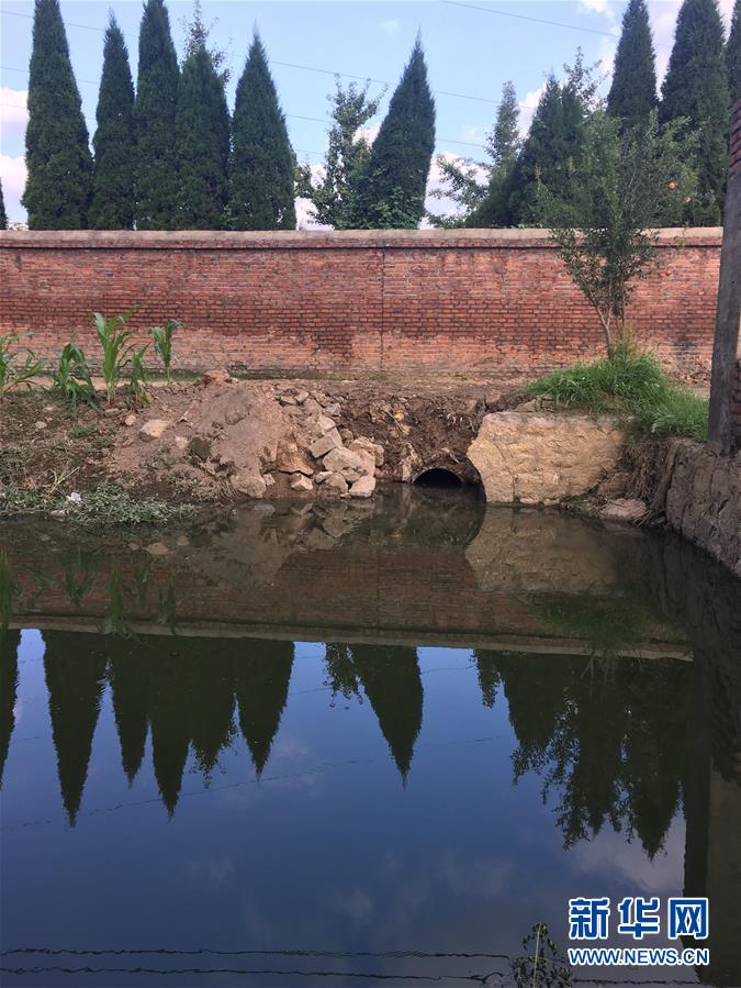 （新華視點&middot;圖文互動）（3）上游洪水來襲下游魚蟹死亡，泄洪為何變泄污？