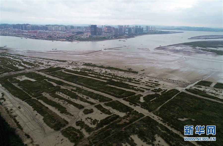 （新華視點(diǎn)&middot;圖文互動(dòng)）（1）福建10名黨員干部被問(wèn)責(zé)的背后：7部門十余次執(zhí)法未能有效制止泉州灣濕地圍墾行為