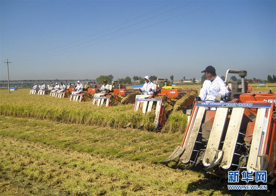 （慶祝改革開放40周年基層行&middot;鄉(xiāng)鎮(zhèn)篇&middot;圖文互動）（6）三產(chǎn)融合培育鄉(xiāng)村振興熱土&mdash;&mdash;吉林孤店子鎮(zhèn)&ldquo;村變城&rdquo;背后的故事