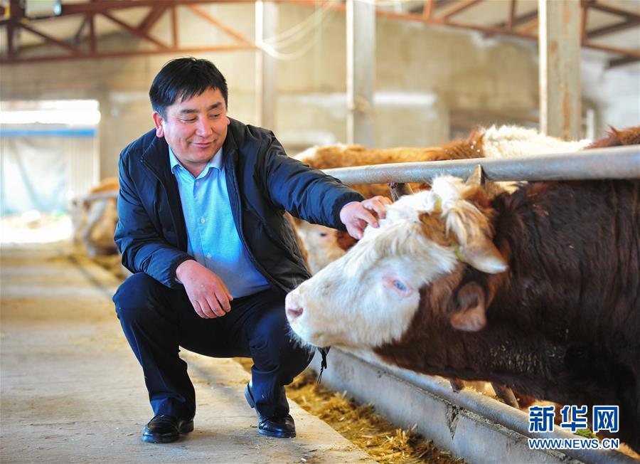 （兩會&middot;基層代表履職故事）（4）全國人大代表吳云波：共享新時代發(fā)展成果