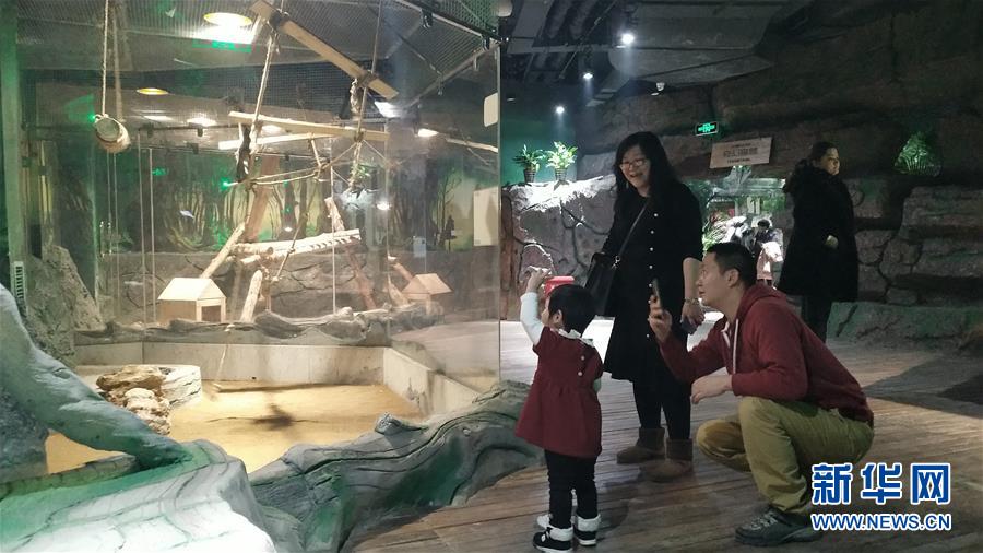 （新春走基層&middot;圖文互動(dòng)）（1）新疆&ldquo;新年俗&rdquo;：動(dòng)物王國學(xué)知識 冰雪世界強(qiáng)身體