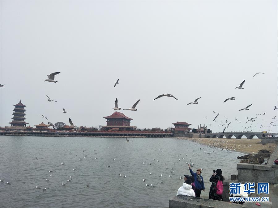 （新華全媒頭條&middot;圖文互動）（6）滄海桑田一指間&mdash;&mdash;6個村莊的70年巨變 