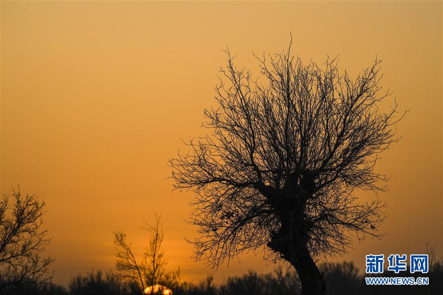 （新華全媒頭條&middot;圖文互動(dòng)）（2）一步千年，&ldquo;最后的沙漠部落&rdquo;遷入新家園