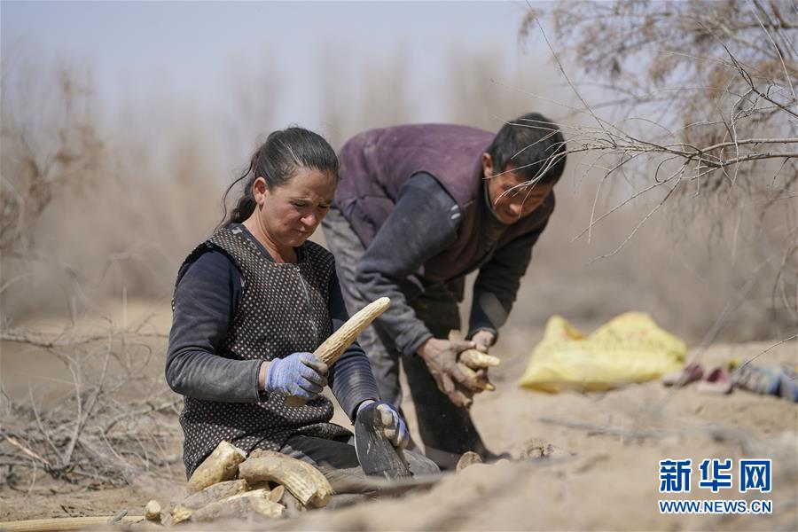 （新華全媒頭條&middot;圖文互動(dòng)）（6）一步千年，&ldquo;最后的沙漠部落&rdquo;遷入新家園