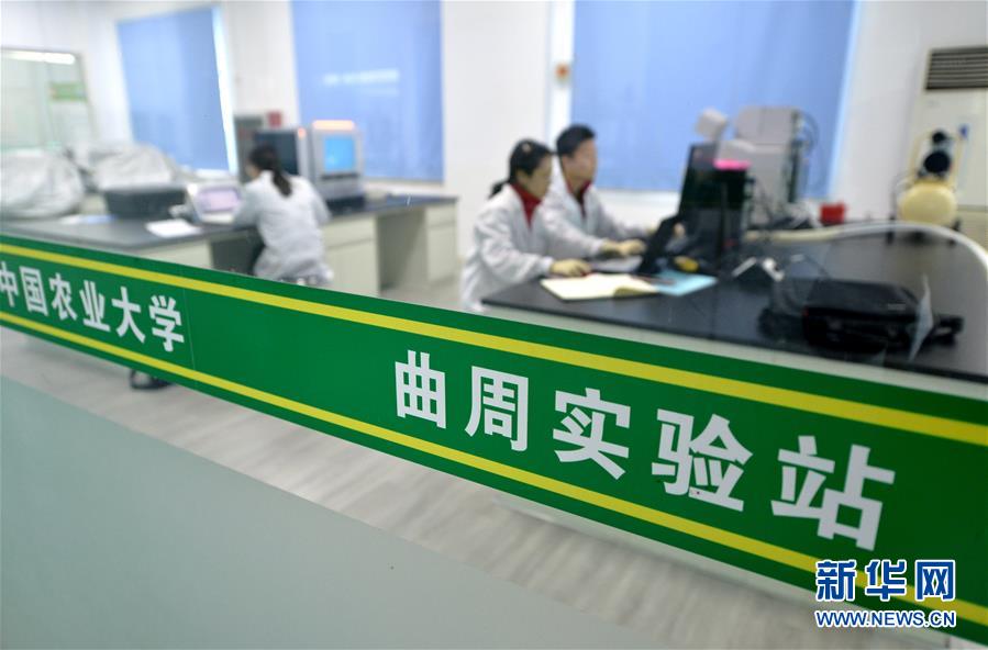 （愛國情 奮斗者&middot;圖文互動）（3） &ldquo;解民生之多艱，育天下之英才&rdquo;&mdash;&mdash;中國農(nóng)大師生扎根田野書寫奉獻(xiàn)之歌