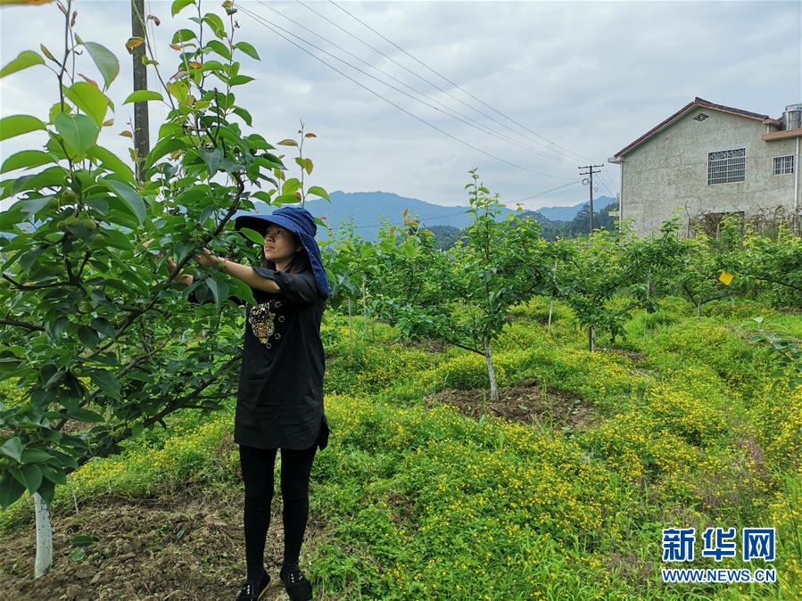 （壯麗70年&middot;奮斗新時(shí)代&middot;圖文互動）（1）縣域經(jīng)濟(jì)強(qiáng)縣的&ldquo;扶貧經(jīng)&rdquo;&mdash;&mdash;來自湖南瀏陽市的脫貧攻堅(jiān)調(diào)查