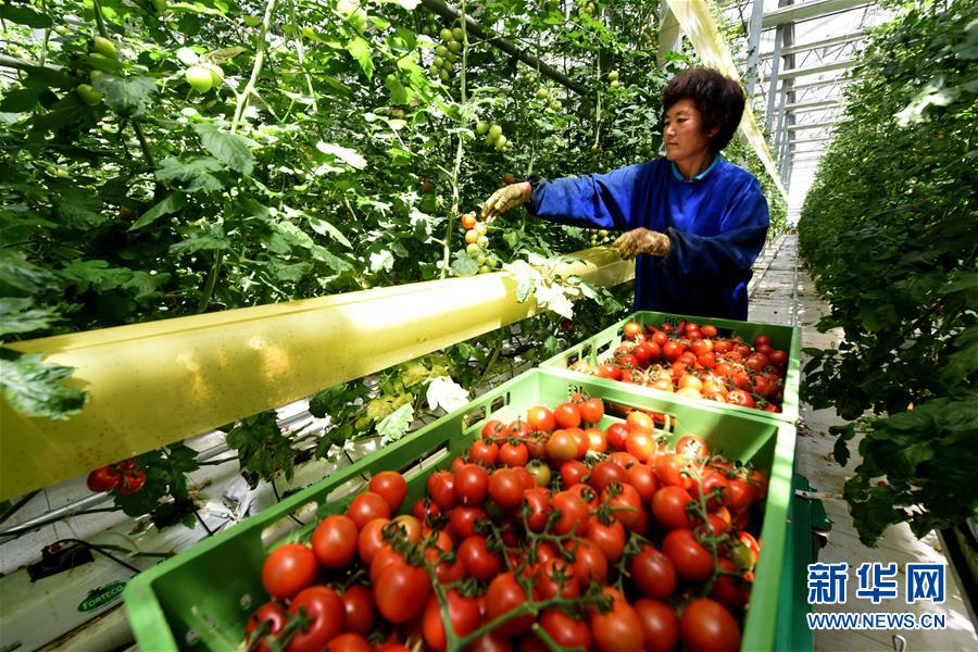 （新華全媒頭條&middot;圖文互動(dòng)）（6）屹然砥柱立中流&mdash;&mdash;&ldquo;今日之中國&rdquo;系列述評(píng)之二