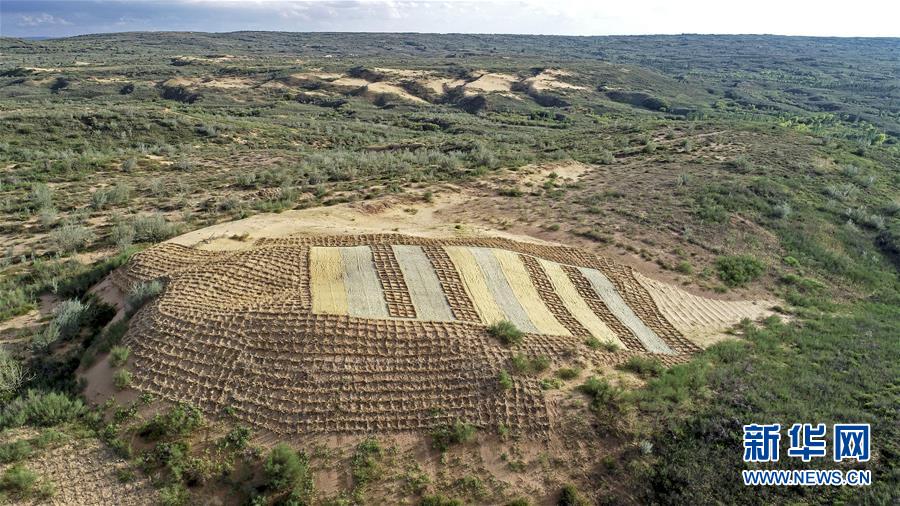 （壯麗70年&middot;奮斗新時(shí)代&mdash;&mdash;共和國(guó)發(fā)展成就巡禮&middot;圖文互動(dòng)）（6）生態(tài)美、百姓富&mdash;&mdash;品讀嶄新&ldquo;寧夏畫(huà)卷&rdquo;