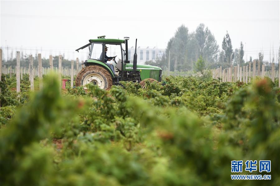 （壯麗70年&middot;奮斗新時(shí)代&mdash;&mdash;共和國(guó)發(fā)展成就巡禮&middot;圖文互動(dòng)）（10）生態(tài)美、百姓富&mdash;&mdash;品讀嶄新&ldquo;寧夏畫(huà)卷&rdquo;