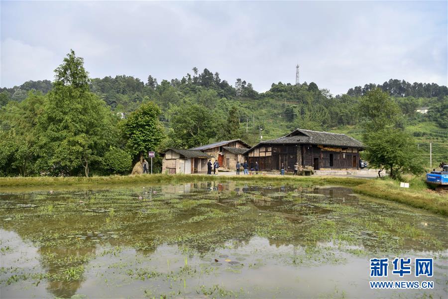 （來自一線的調查報告&middot;圖文互動）（2）利益聯結強產業(yè)　打通城鄉(xiāng)促振興&mdash;&mdash;重慶涪陵大順鄉(xiāng)鄉(xiāng)村振興觀察