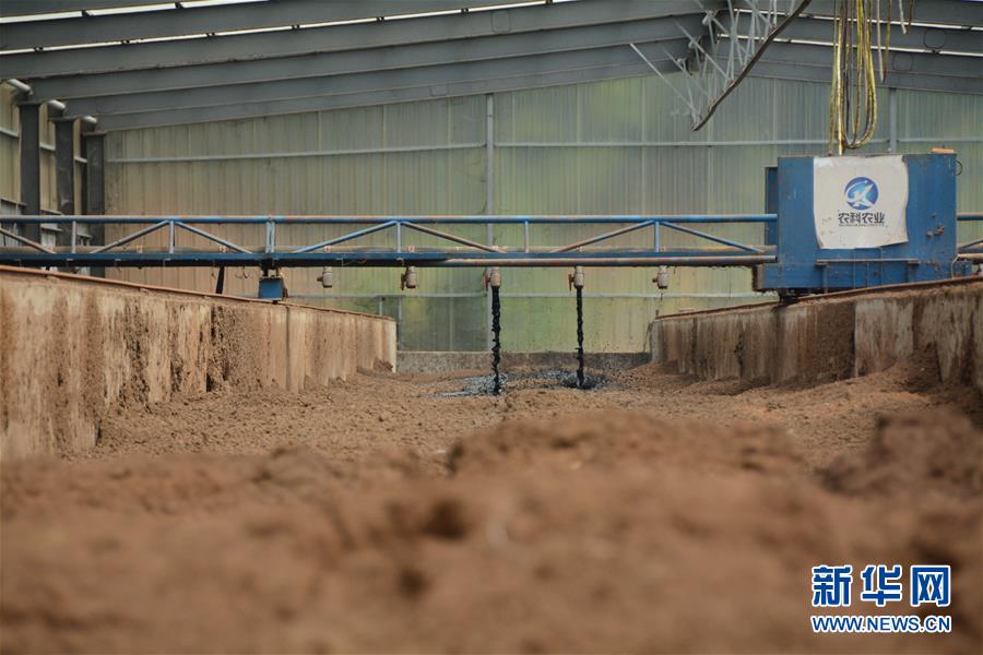 （在習近平新時代中國特色社會主義思想指引下&mdash;&mdash;新時代新作為新篇章&middot;總書記關心的百姓身邊事&middot;圖文互動）（5）大污染變身&ldquo;大寶藏&rdquo;：治理畜禽糞污，他們這樣干！