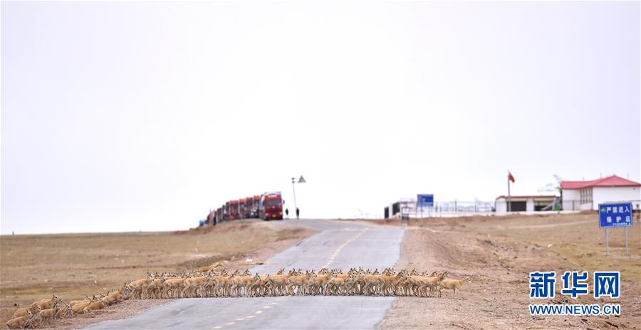 （新華全媒頭條&middot;圖文互動）（4）確保&ldquo;中華水塔&rdquo;碧水東流&mdash;&mdash;中國三江源生態(tài)保護(hù)報(bào)告