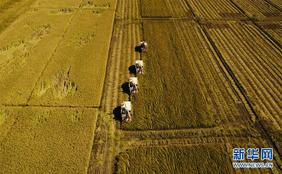（新華全媒頭條&middot;圖文互動）（5）紅色的傳承，藍(lán)圖的起點(diǎn)&mdash;&mdash;新中國孕育與發(fā)展的&ldquo;東北記憶&rdquo;