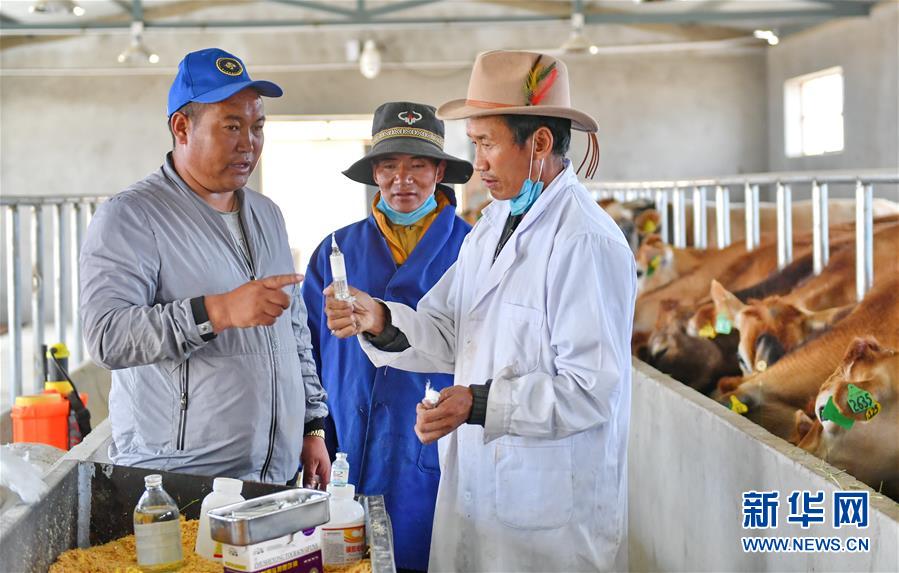 （新華全媒頭條&middot;決戰(zhàn)決勝脫貧攻堅&middot;圖文互動）（4）歷史的決戰(zhàn)　偉大的創(chuàng)舉&mdash;&mdash;&ldquo;世界屋脊&rdquo;上的反貧困奇跡 