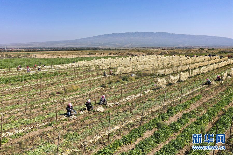 （新華全媒頭條&middot;圖文互動(dòng)）（13）從水困到水興&mdash;&mdash;寧夏&ldquo;水樣本&rdquo;中的發(fā)展密碼