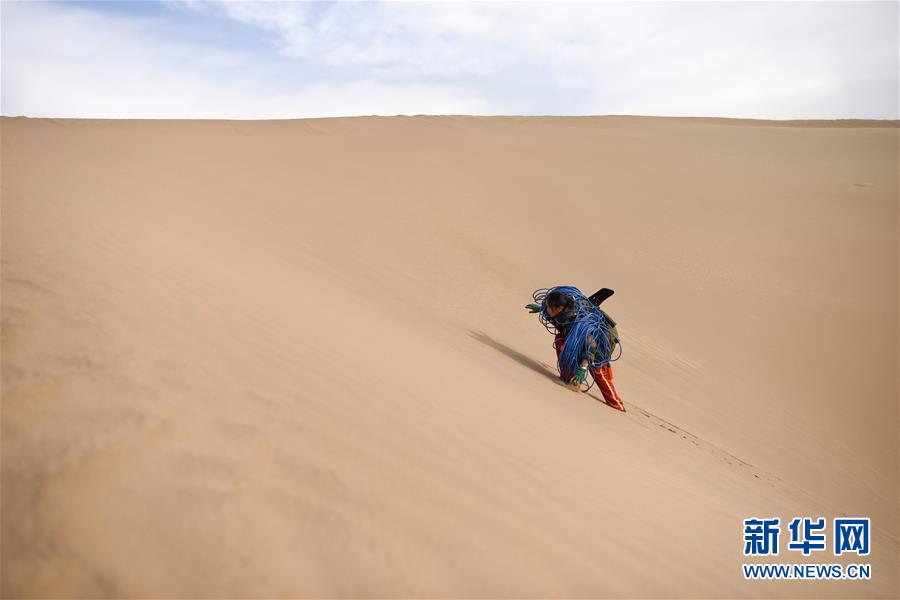 （新春走基層&middot;圖文互動）（3）寒冬里，&ldquo;沙漠玫瑰&rdquo;猶自綻放