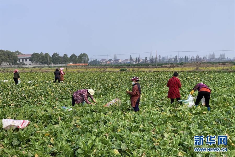 （新華全媒頭條&middot;圖文互動(dòng)）（4）努力保持生產(chǎn)生活平穩(wěn)有序&mdash;&mdash;抓緊復(fù)工復(fù)產(chǎn)穩(wěn)定經(jīng)濟(jì)運(yùn)行掃描