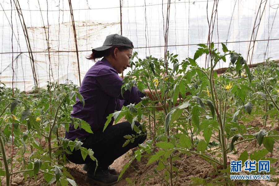 （圖文互動(dòng)）（2）&ldquo;桃花源&rdquo;里話豐年 &mdash;&mdash;帕米爾山區(qū)一處扶貧搬遷點(diǎn)見(jiàn)聞