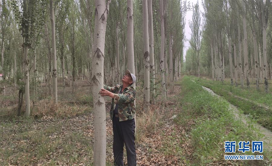 （圖文互動(dòng)）（4）記者手記：向&ldquo;看不見&rdquo;的勞動(dòng)者和他們的夢(mèng)想致敬